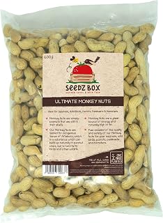 Monkey Nuts For Squirrels 600g - Wild Birds - Parrots - Parakeets - Hamsters - Monkey Nuts In Shells For Feeding Animals - Seedzbox