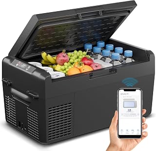 Feelfunn 12V Refrigerator 21QT Portable Freezer Electric Cooler Black | APP Control, Fast Cooling 15-Mins, -4℉~68℉ Portable Fridge 12/24V DC &amp; 110-240V AC for Truck, RV, Van, Camping &amp; Road Trip