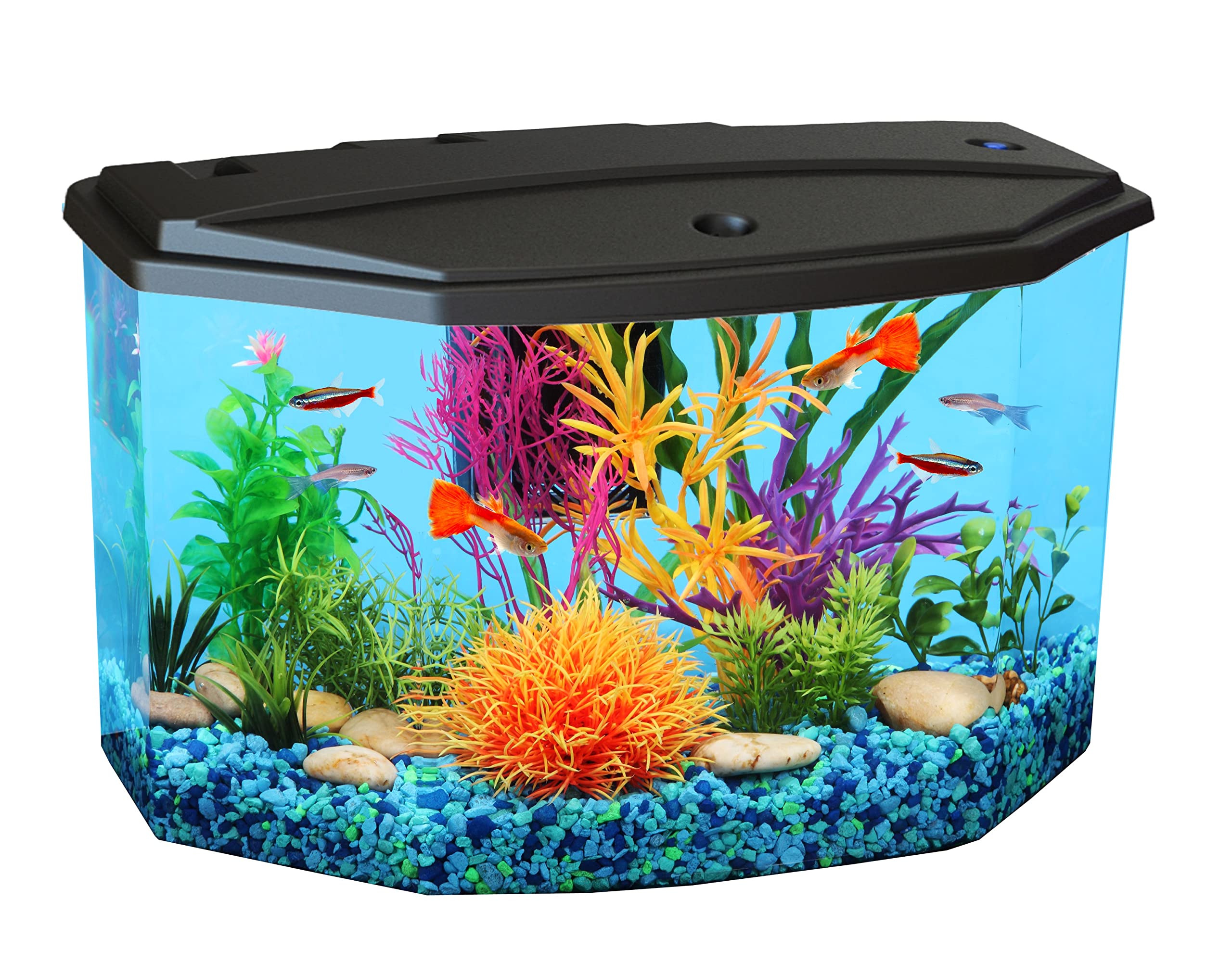 Koller Products Plastic 3-Gallon Aquarium Starter Kit with 4 Colors LED Lighting