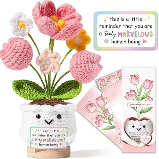 Christmas Inspirational Appreciation Gifts for Women Tulip Flower Crochet | Inspirational Thank You Christmas Birthday Gifts for Women Teacher Mom Coworker Nurse Friend Boss, This is A Little Reminder