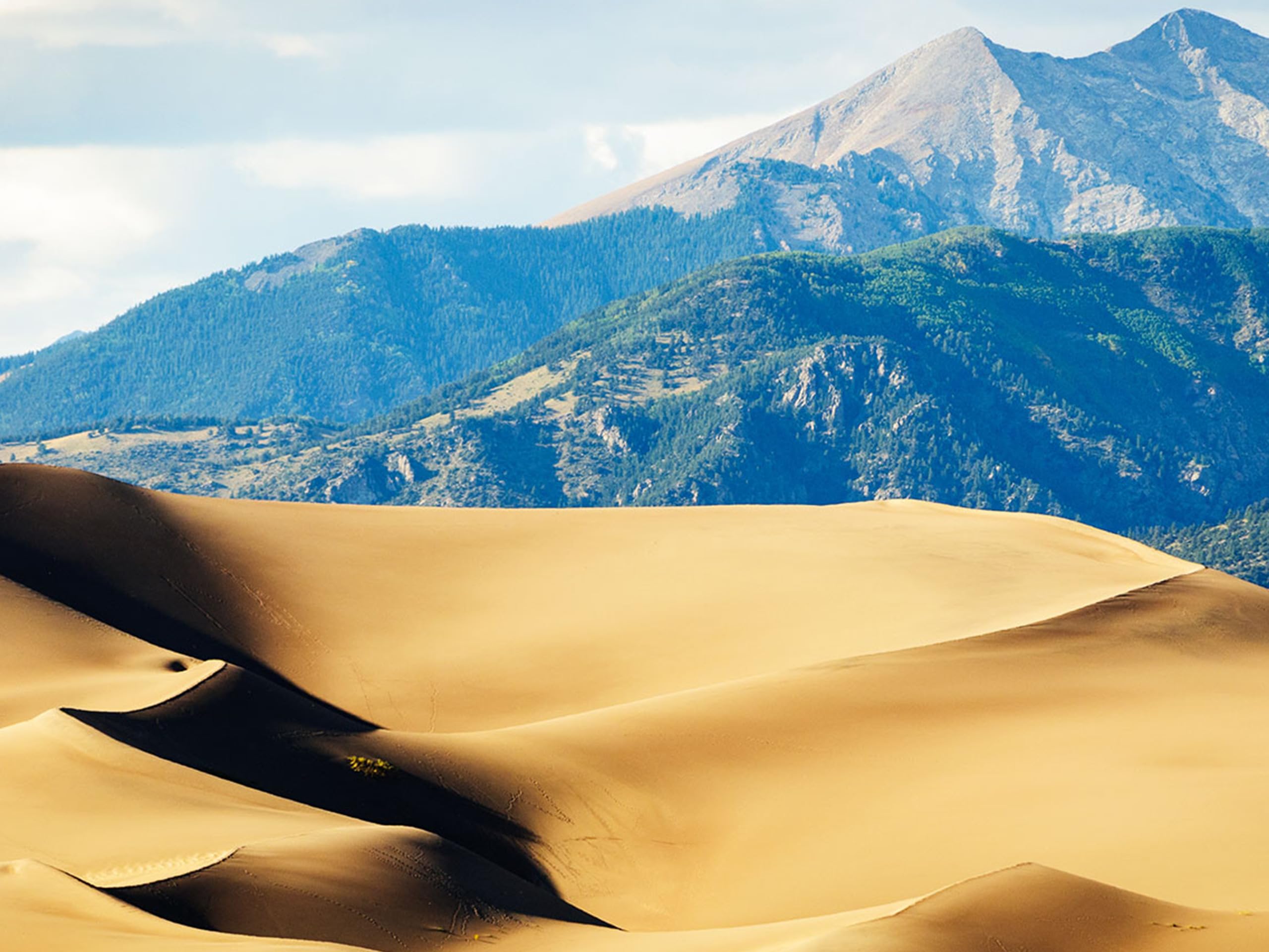 Great Dune Fields of North America
