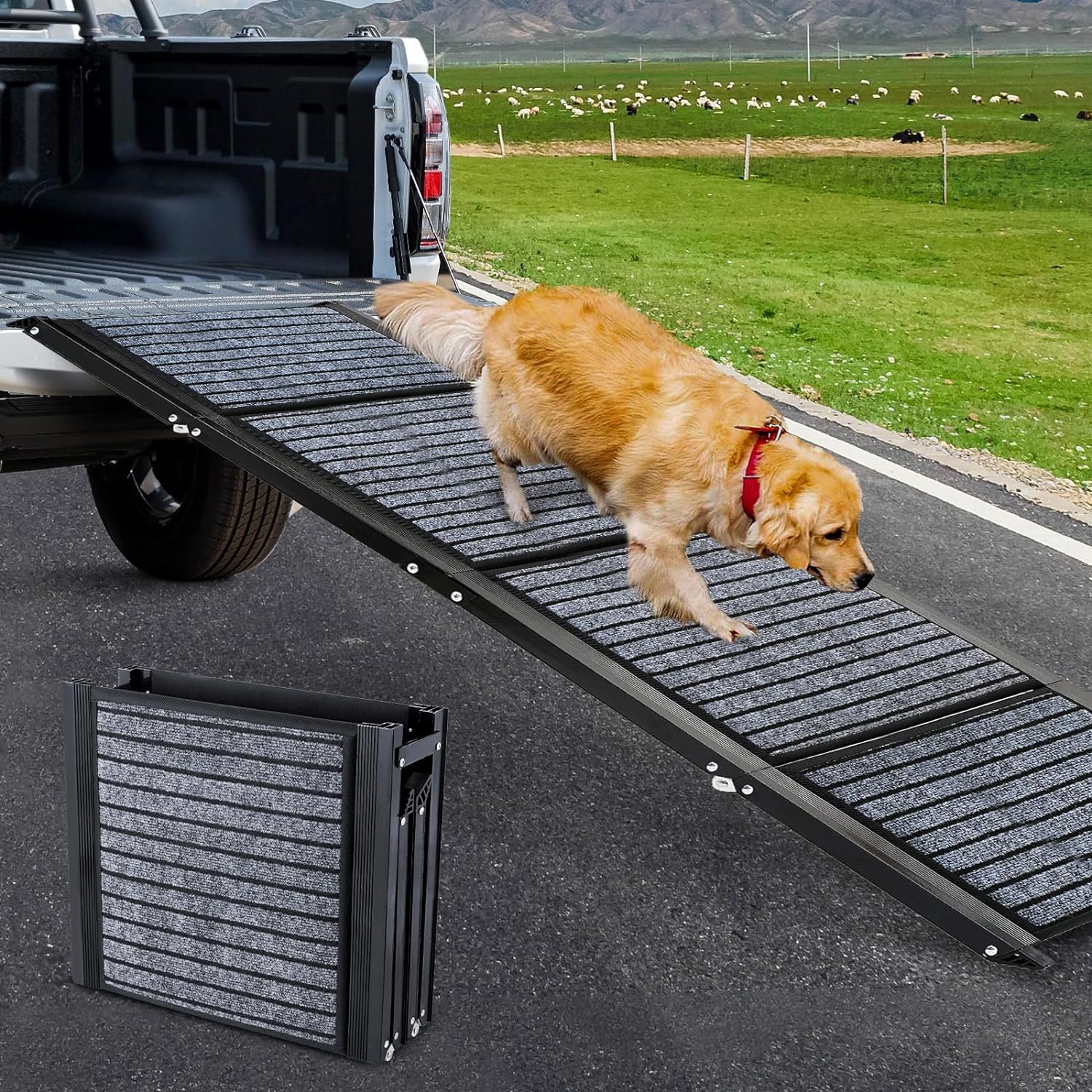 Snagle Paw Longest 180cm Dog Car Ramp,Protable Stairs for Large Dogs with Anti-S