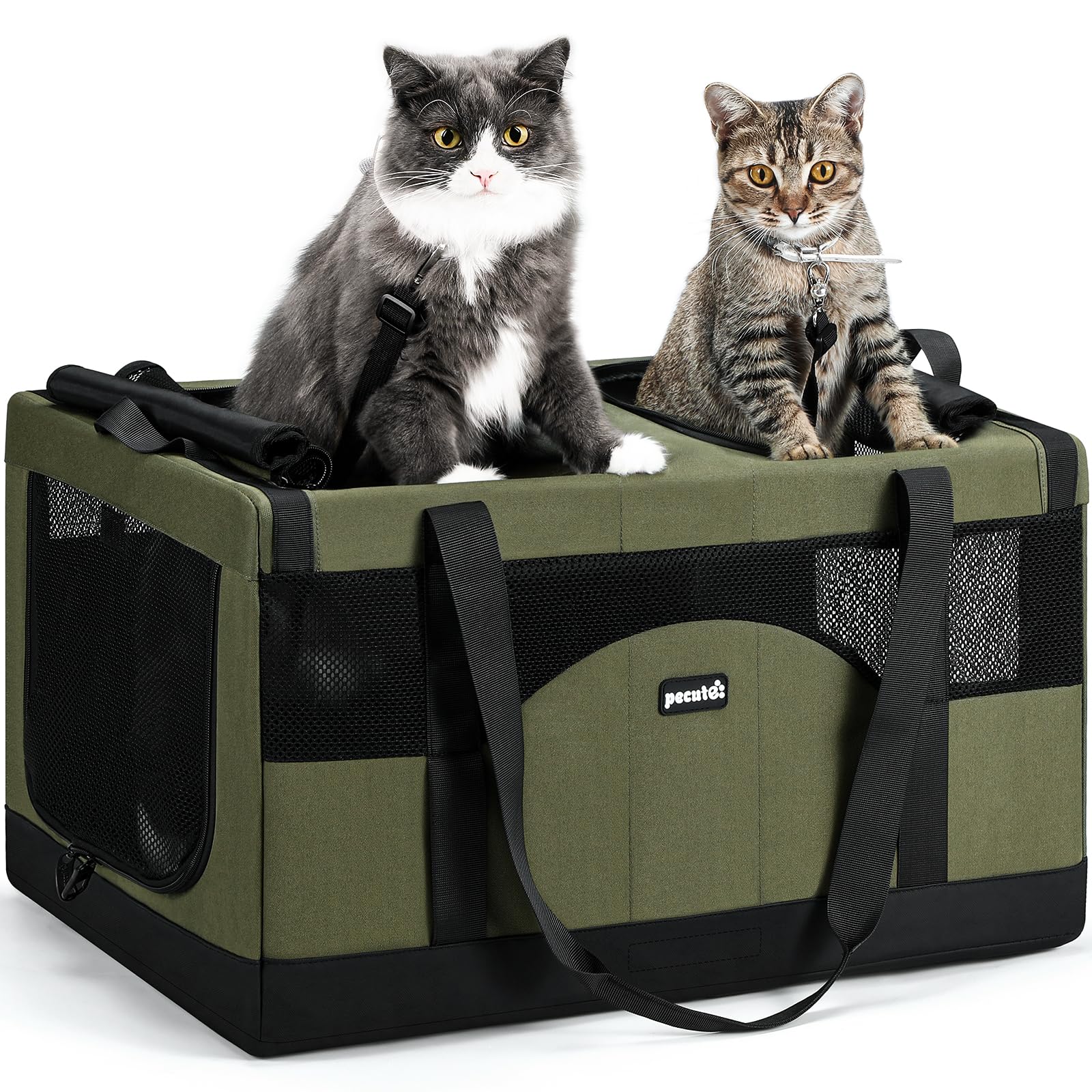 Pecute Large Cat Carrier, Soft Double Pet Crate for 2 Cats Travel, Green | Anti-