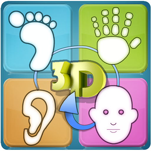 Total Reflexology 3D
