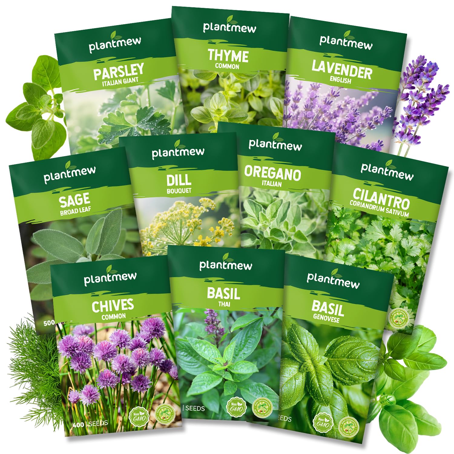 PLANTMEW 10 Herb Seeds Variety Pack - 7,000+ Heirloom Non-GMO Seeds - Basil, Cil