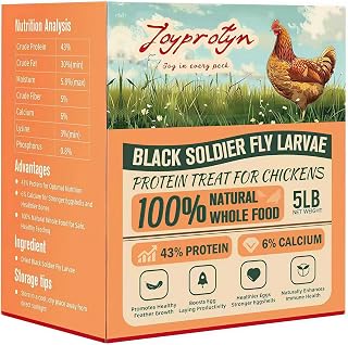 Joyprotyn 5LB Non-GMO Dried Black Soldier Fly Larvae for Chickens – 85X More Calcium Grubs Than Mealworms for Strong Eggshells & Healthy Growth - High Protein for Chickens, Birds, Ducks, Geese & Pets