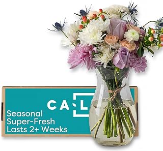Callia Flowers - Soft Pastel Fresh Flower Bouquet - (Standard) - Hand-Tied Fresh Cut with Vase, Fresh Flowers Delivery for Birthday, Sympathy, Get Well -Floral Arrangements with Local Delivery