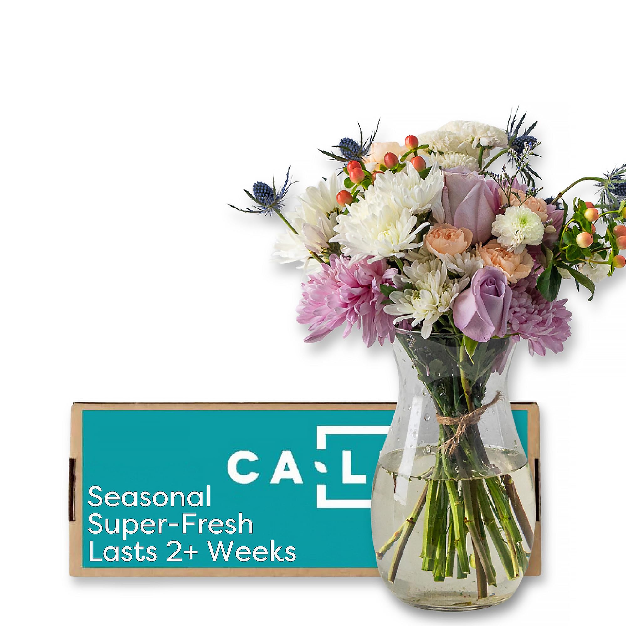 Callia Flowers - Soft Pastel Fresh Flower Bouquet - (Standard) - Hand-Tied Fresh