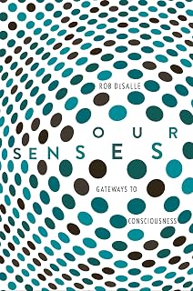 Our Senses: An Immersive Experience
