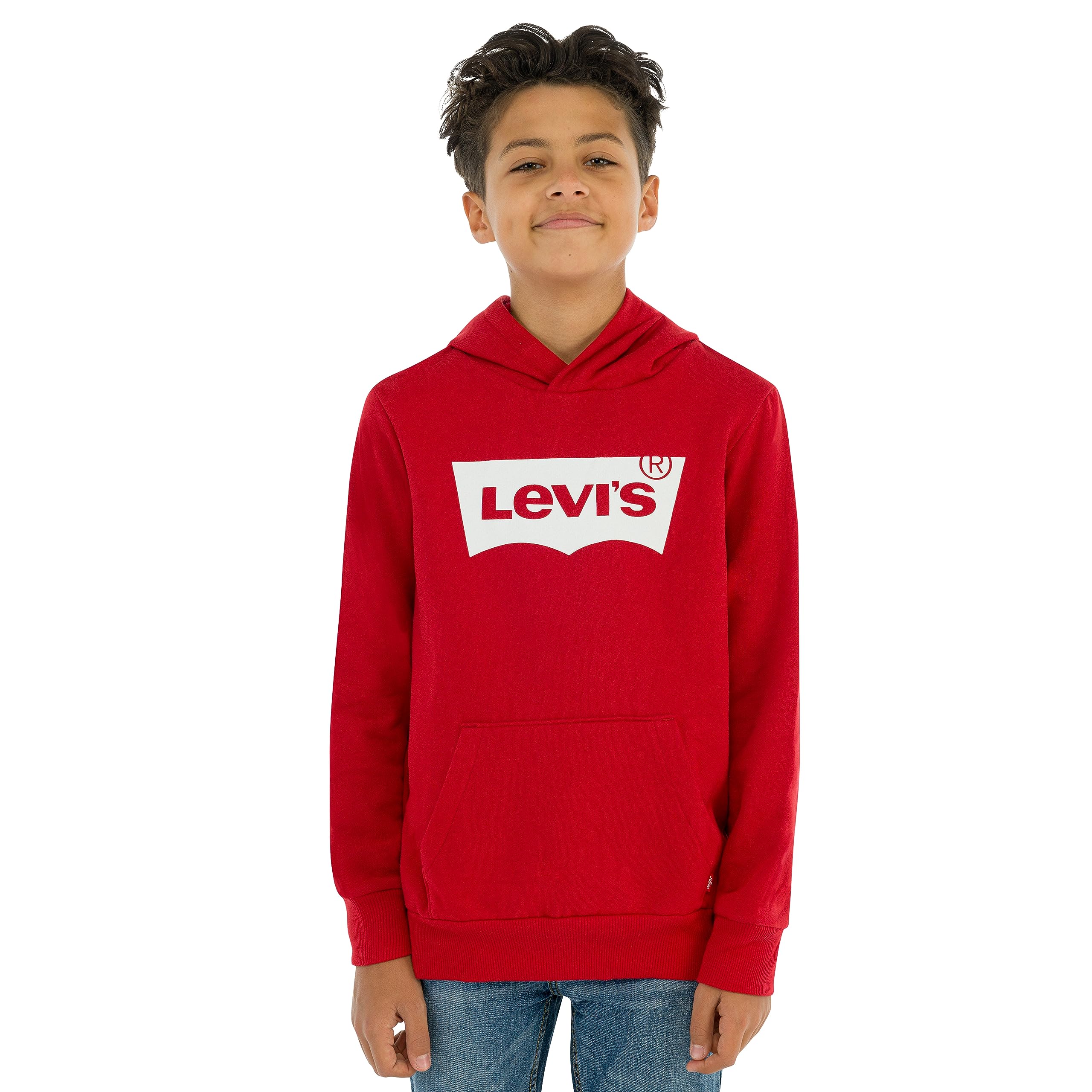 Levi's Kids Boy's Lvb Batwing Screenprint Hoodie Hooded Sweatshirt (pack of 1)