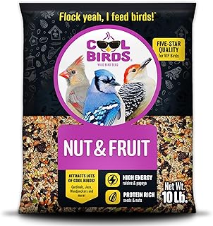 Cool Birds Nut & Fruit Wild Bird Seed, 10 lb | Gourmet Bird Food for Outside Feeders with Sunflower Hearts, Peanuts, Tree Nuts & Fruit – No Corn, Milo or Millet