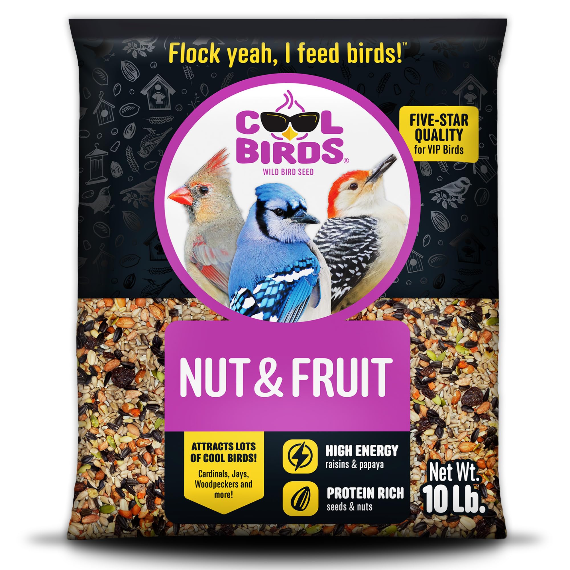 Cool Birds Nut & Fruit Wild Bird Seed, 10 lb | Gourmet Bird Food for Outside Fee