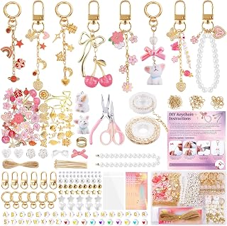 Wurosi Pink 680PCS Keychain Making Kit DIY Crafts, DIY Bag Charm Kit | Includes 78.74 Inch Chains,Tools,Charms and Packaging Supplies, Create Custom Bag Charms Keyrings and Lip Gloss Holders