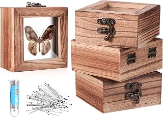 Reallnaive 4 Pcs Insect Display Box Bug Pinning Kit, Carbonized Wood Color | 4 Inch Wooden Cases with Glass, 100 Pins and EVA Foam Pinning Board, for Butterfly Spider Specimen Collection, Metal Locks