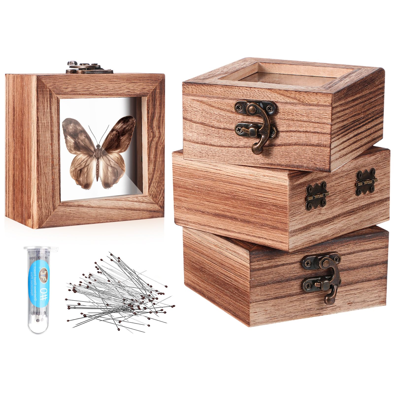 Reallnaive 4 Pcs Insect Display Box Bug Pinning Kit, Carbonized Wood Color | 4 I