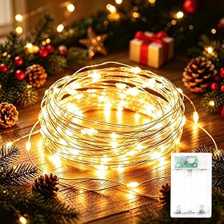60LED 6m Fairy Lights Battery Operated, Battery Powered String Light Indoor | 1 Pack 2 Modes Mini Led Copper Wire Lights for Christmas, Classroom Bedroom Decor, Small LED Twinkle Bottle Light, Warm White