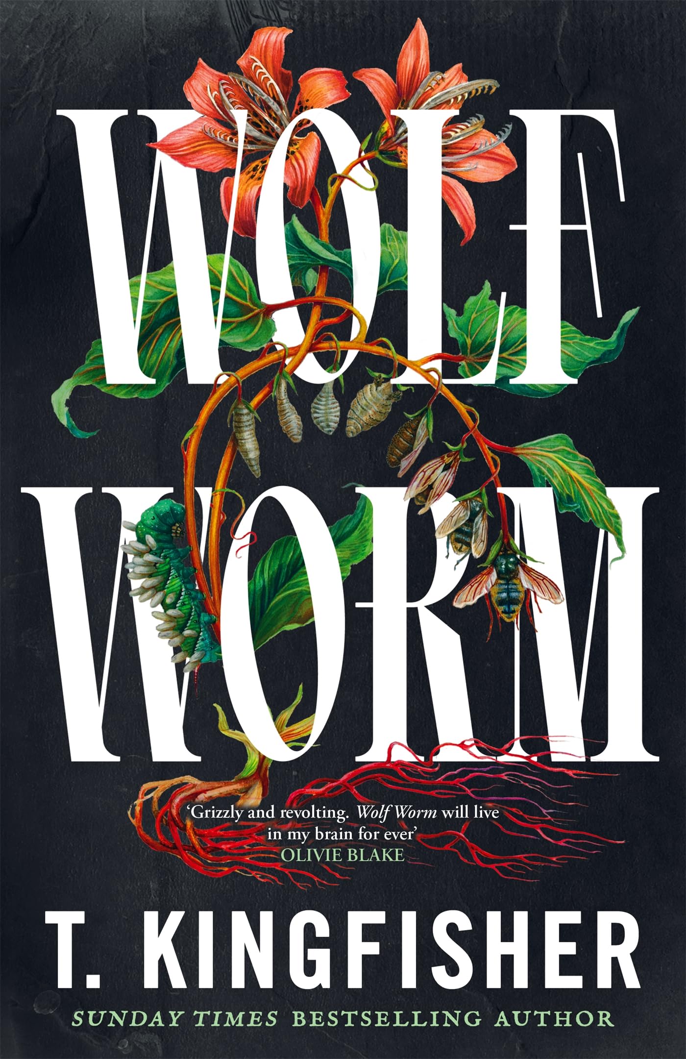 Wolf Worm: A Southern gothic masterpiece about secrets, parasites and deadly amb
