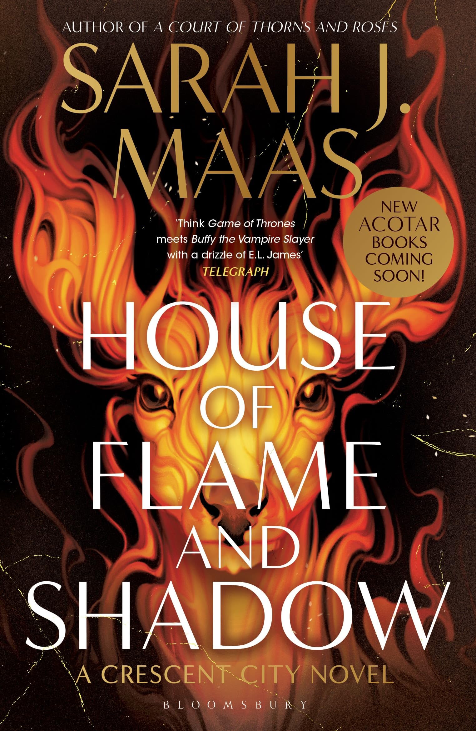 House of Flame and Shadow: The INTERNATIONAL BESTSELLER and the smouldering thir