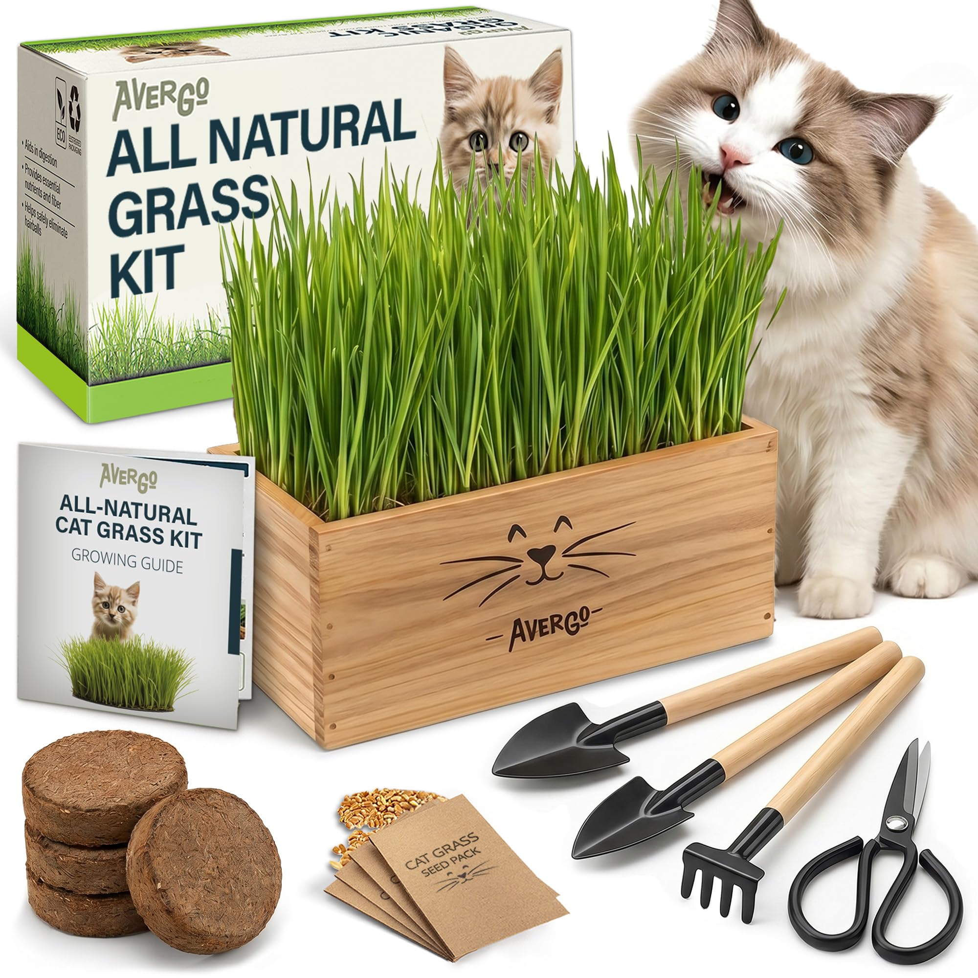 Cat Grass Kit for Indoor Cats – x4 Seed Packets | Cat Grass Seeds with Wooden Pl
