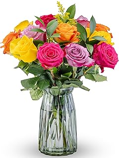 Benchmark Bouquets - Real Fresh Flowers for Delivery – One Dozen Long Stem Rose Bouquet – Roses Assorted Colors – Gifts for Mom, Birthdays, Get Well (Glass Vase Included)