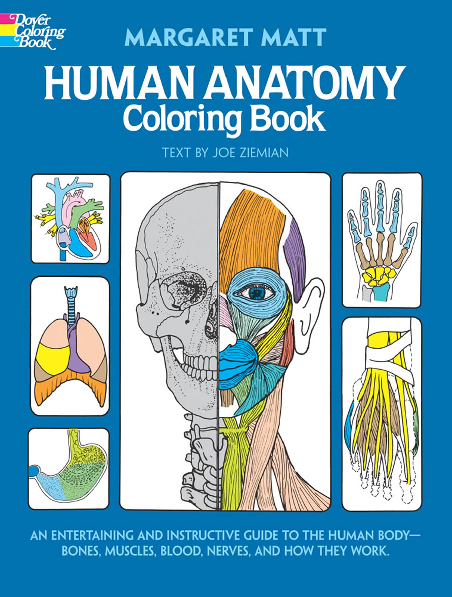 Human Anatomy Coloring Book: an Entertaining and Instructive Guide to the Human 