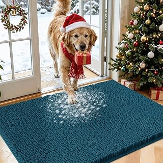 Dog Door Mat for Muddy Paws, 30"x20" Absorbent Chenille Doormat for dogs