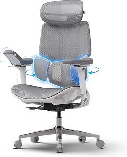 Hbada E3 Pro Ergonomic Office Desk Chair, with 3 Zone Dynamic Lumbar Support, 4D Adjustable Headboard, 6D Adjustable Arms (Polypropylene, Grey)