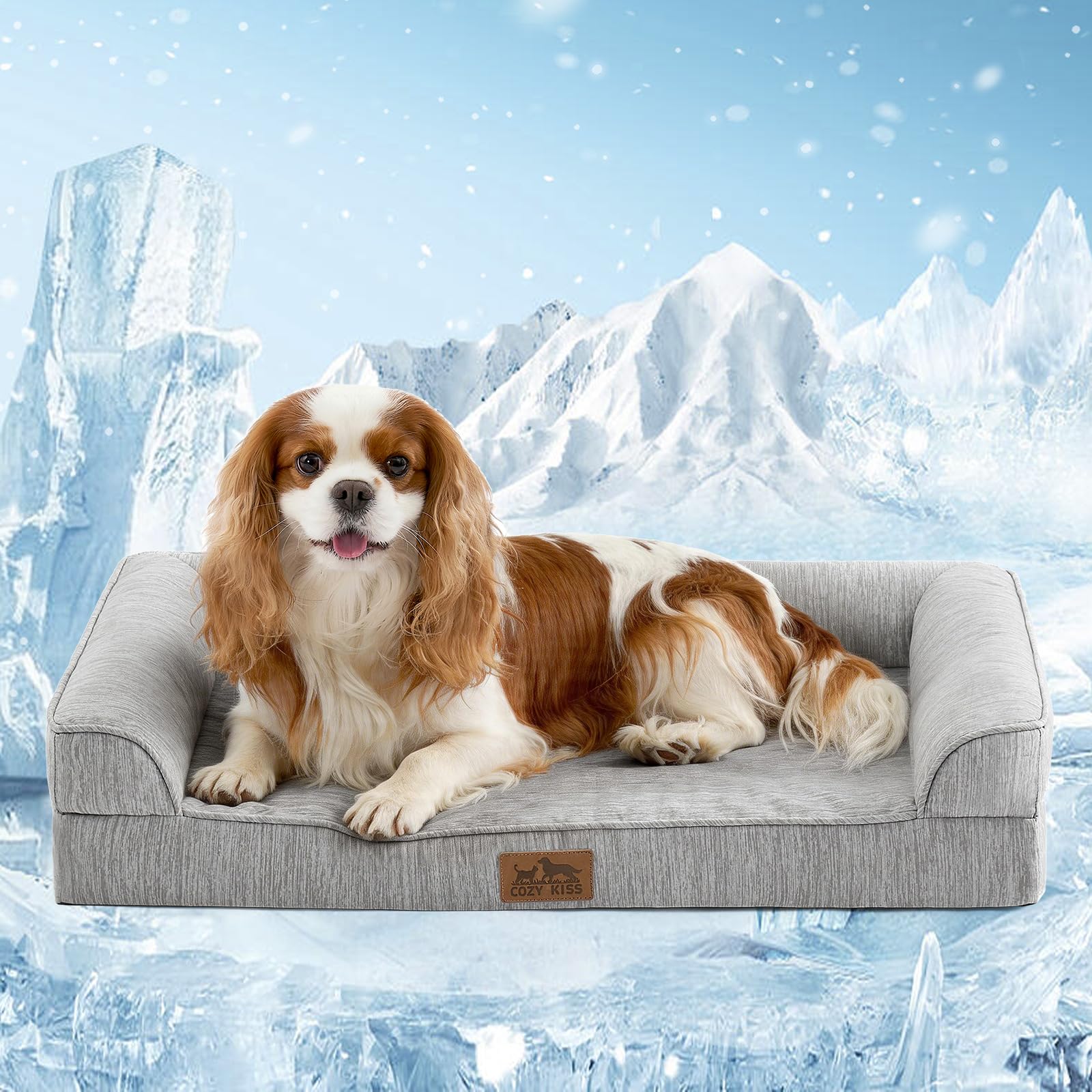 COZY KISS Cooling Dog Bed for Small Dogs, 30"x20" Orthopedic Foam Sofa with Bols