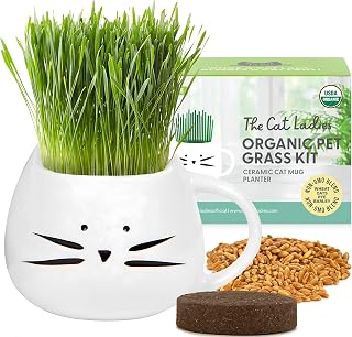 Organic Cat Grass Growing kit with Organic Seed Mix, Organic Soil and Cat Planter. Natural Hairball Control and Remedy. Manufactured in The USA.