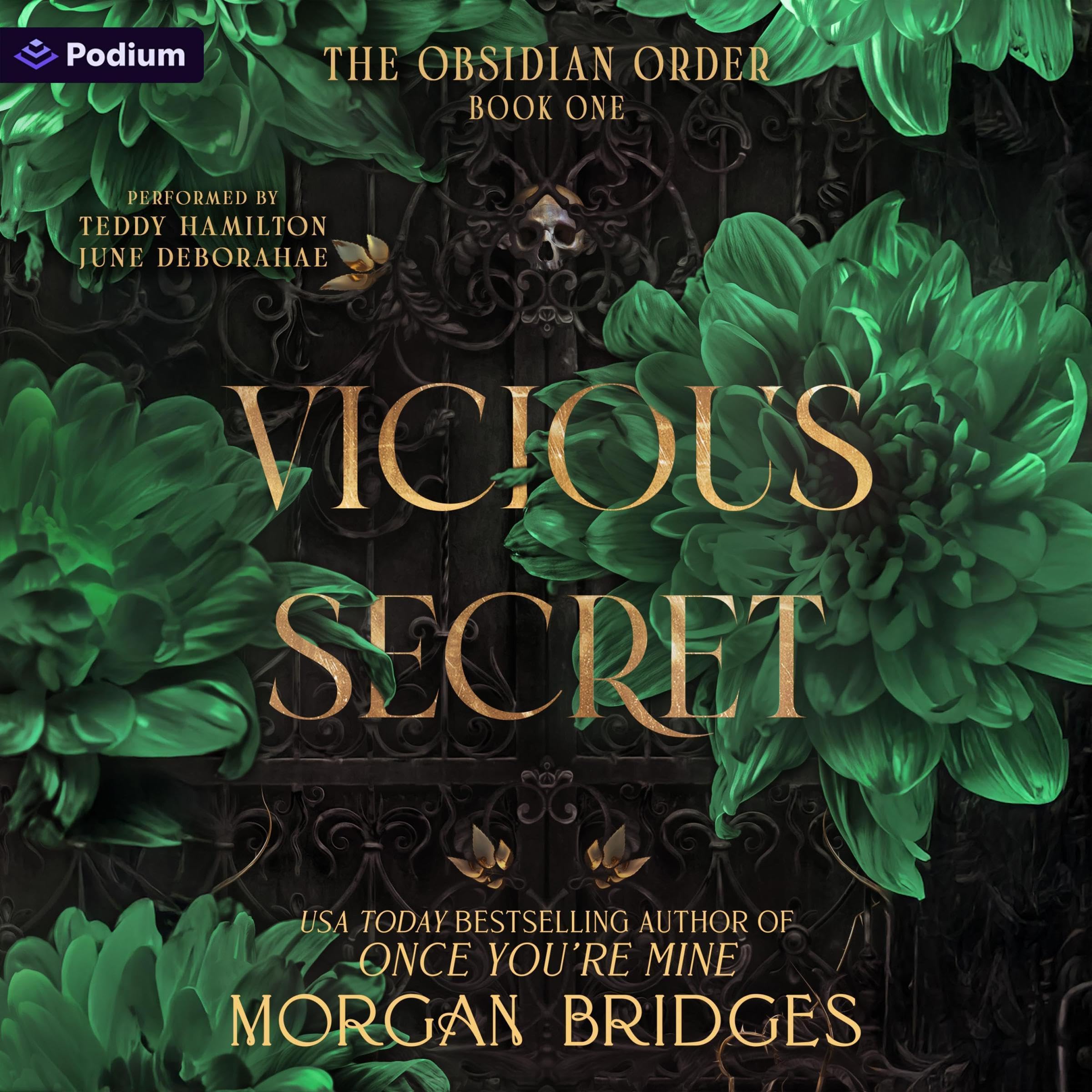 Vicious Secret: The Obsidian Order, Book 1