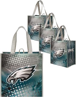 FOCO NFL unisex-adult Nfl Team Logo 4-pack Reusable Grocery Shopping Bags Totes