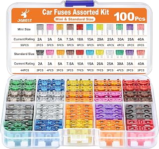 JOREST 100 x Car Fuses Set – 56 Mini Fuses + 44 Medium Automotive Fuses + 1 Extractor, Auto Fuses for Car/RV/Truck/Motorcycle (2A 3A 5A 7.5A 10A 15A 20A 25A 30A 35A 40A)