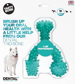 TastyBone TrioBone Dental Nylon Dog Chew Toy for Large Dogs (Peppermint) - Strong Healthy Teeth & Gums, Indestructible for Aggressive Chewers, Everlasting Flavour, Made in the UK