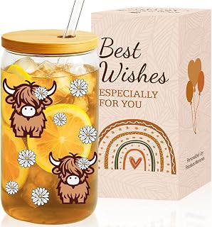 VivaJoy Highland Cows Gifts for Women - Funny Cow Gift for Cow Lovers, Birthday Gifts for Women, Cute Coke Coffee Cups Glass Cups with Straw and Lid, Thanks Gift for Womens, Sister, Bestie, Friend