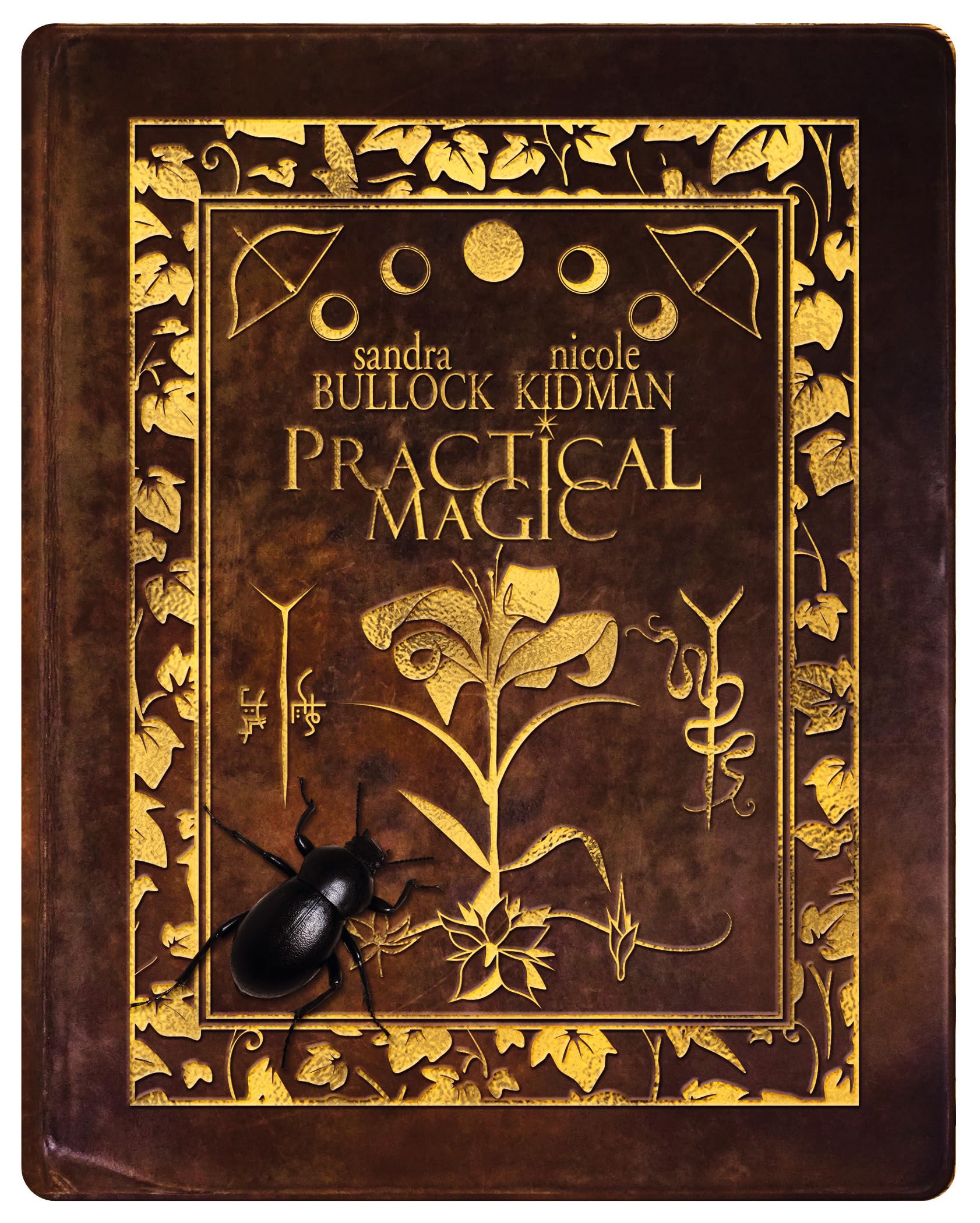 Practical Magic SteelBook [4K Ultra HD] [1998]