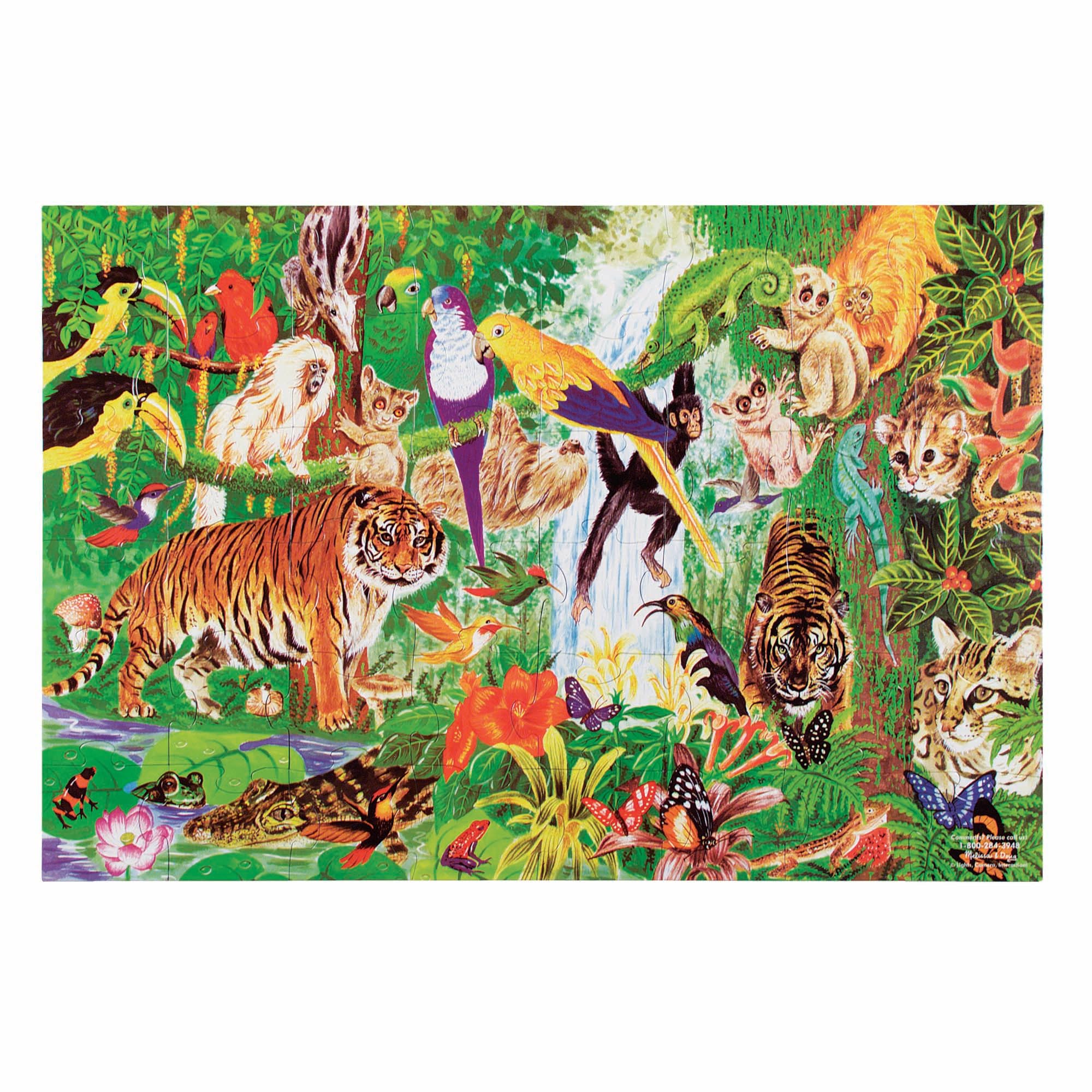 Melissa & Doug Rainforest Floor Puzzle, 48 pc Jumbo Jigsaw Puzzle, Educational S