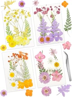 40 Pcs Real Dried Pressed Flowers and Leaves Natural Dried Petals Greenery with Tweezer for Candle Resin Jewelry Soap Nail Pendant Phone Case Crafts Making Floral Decors DIY Embellishments