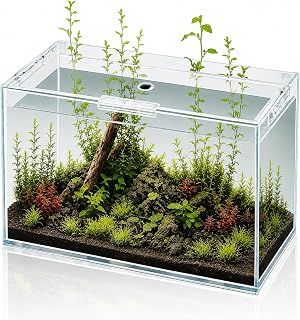 5 Gallon Glass Fish Tank with Open-Back Lid Small Aquarium Fish Bowl Cube | for Betta Goldfish Snails Shrimp Aquatic Planting, Ultra Clear Rimless Design Low Iron