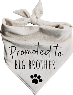 Dog Bandanas Promoted to Big Brother Pregnancy Announcement Baby Reveal Oatmeal Beige Minimal (Large)