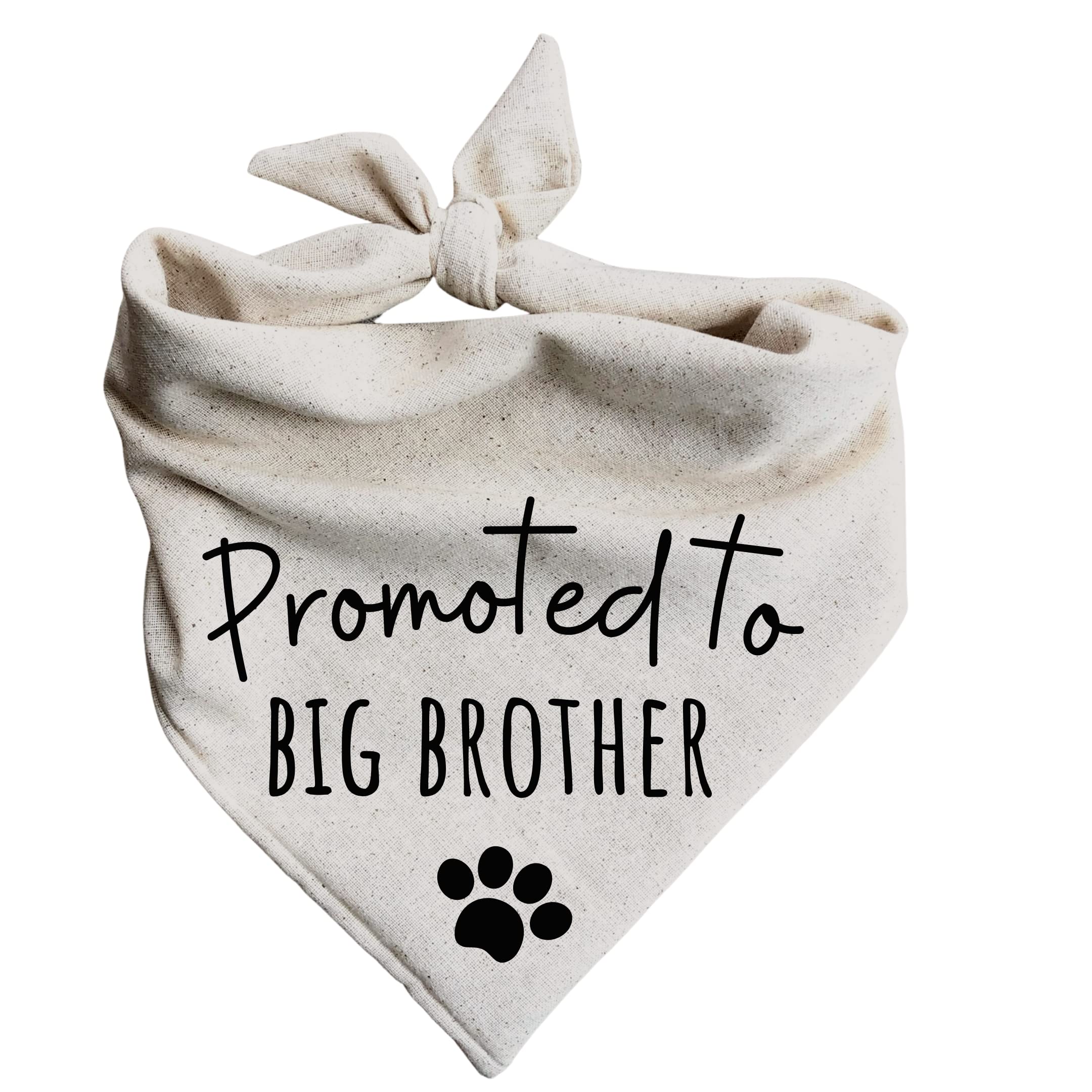 Dog Bandanas Promoted to Big Brother Pregnancy Announcement Baby Reveal Oatmeal 
