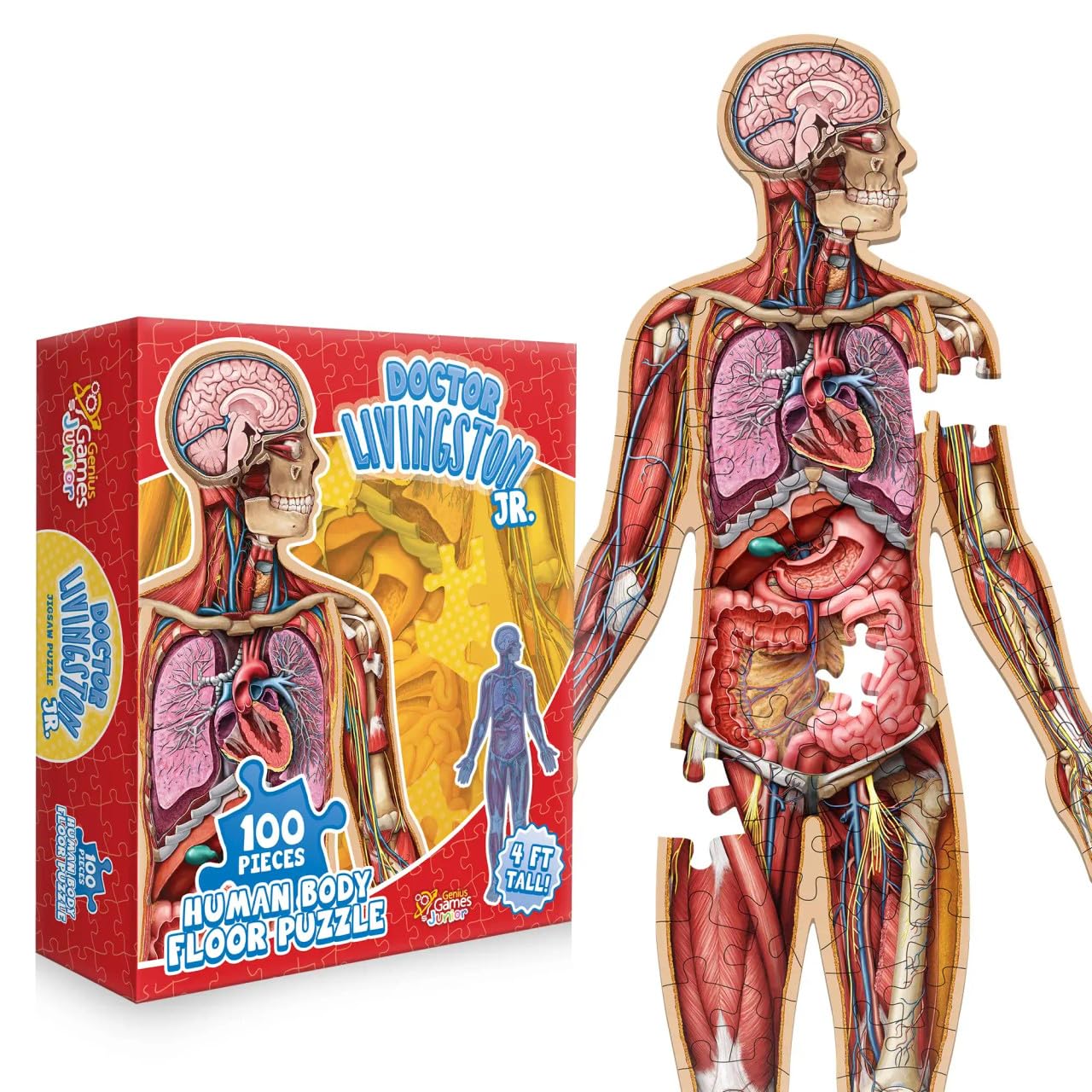 Human Anatomy Kids Floor Puzzle - Dr Livingston Jr's 100-Piece Full Body Jigsaw 