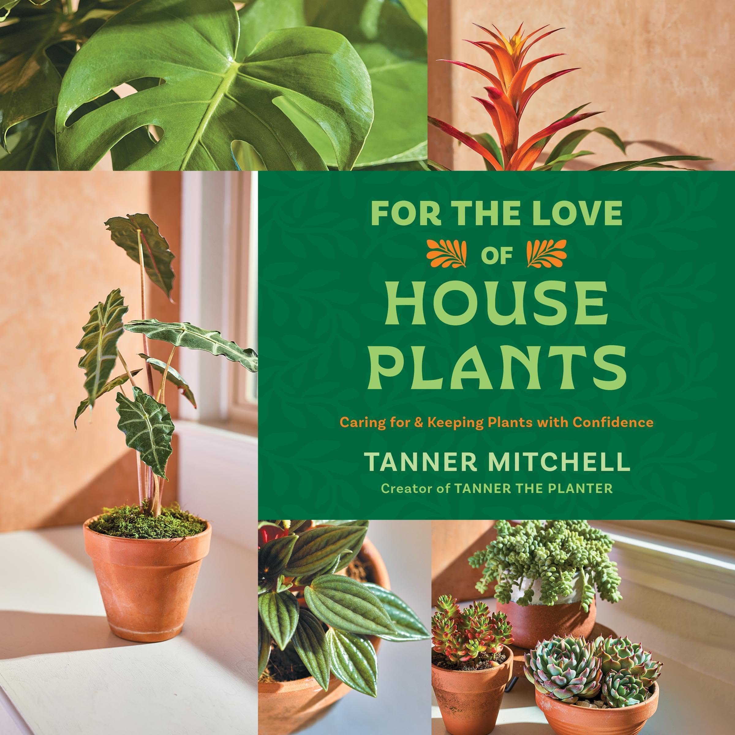 For the Love of Houseplants: Caring for & Keeping Plants with Confidence
