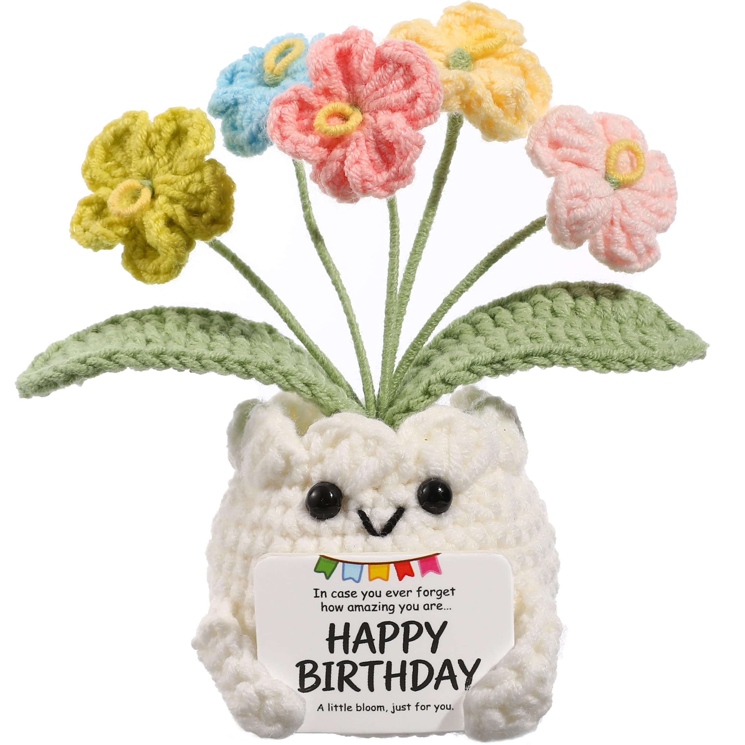 YOOJEE Crochet Forget Me Not Flower Pot Birthday Gifts for Women | Happy Birthda