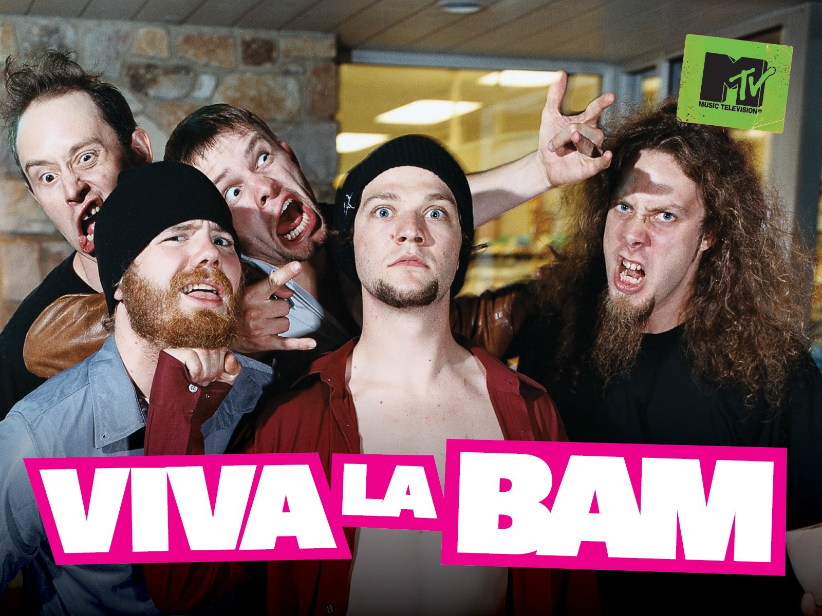 Viva La Bam - Season 1