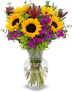 Stargazer Barn Wildflower Bouquet - Vase Included | Fresh Cut Flower Delivery, Hand-Tied in the USA, Gift for Birthday, Anniversary, Sympathy or Home Decor