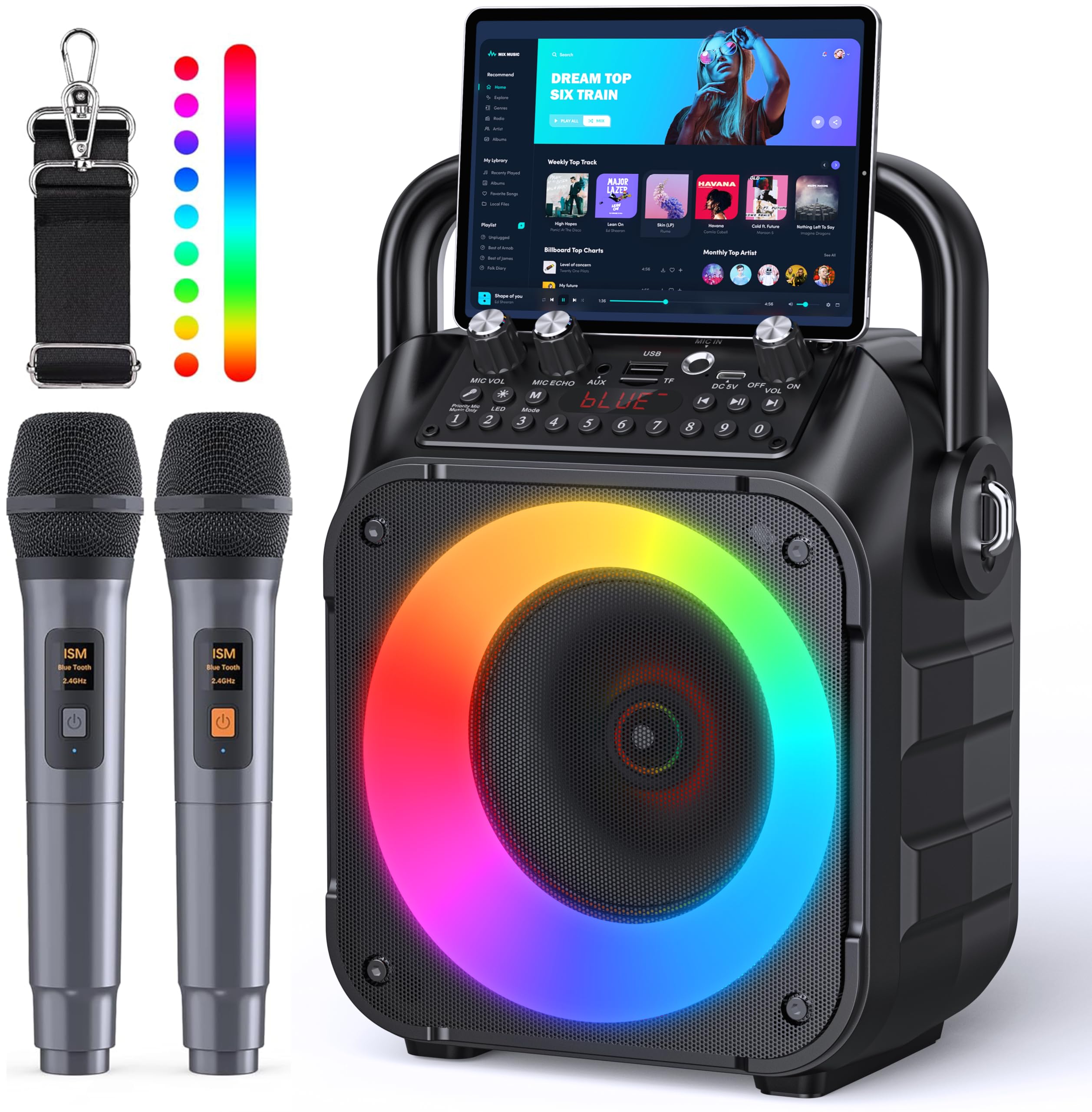 CYY Karaoke Machine, Portable Bluetooth Speaker with 2 Wireless Microphones | Im
