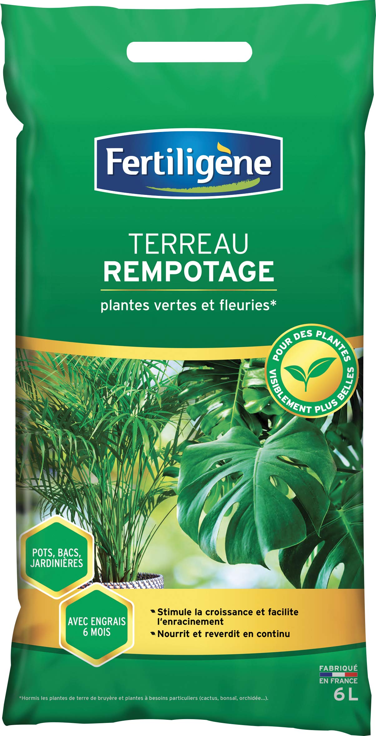Fertiligene FREMP6P – Potting Soil for Green Plants and Flowers, 6 L, Stimulates