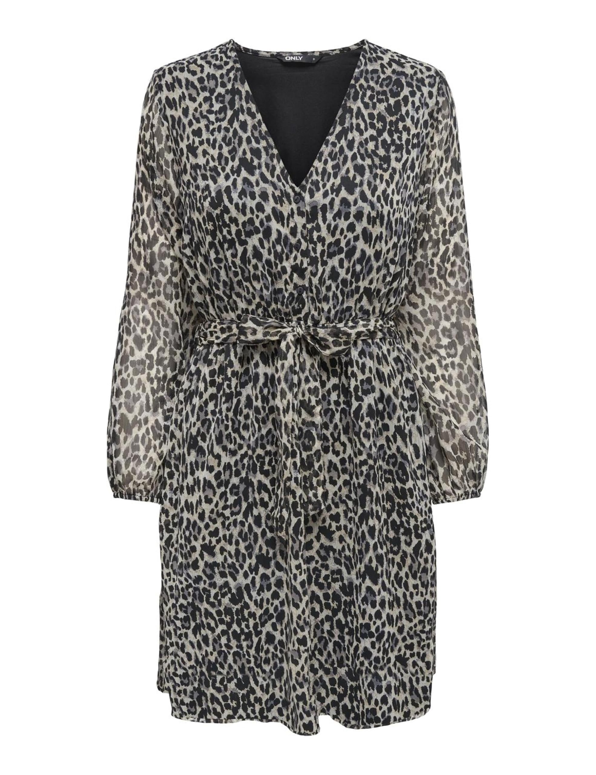ONLY ONLCERA Printed Mesh Long Sleeve Mini Shirt Dress with Buttoned V Neck