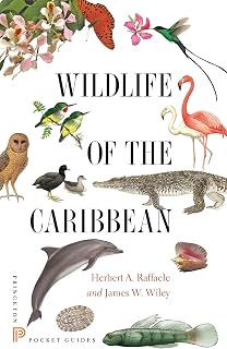 Wildlife of the Caribbean (Princeton Pocket Guides)