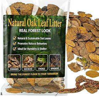 MAQIHAN 5oz Oak Leaf Litter - Dry Substrate for Reptiles Isopod & Bioactive | Whole Natural Oak Leaves for Terrarium, Forest Floor Habitat, Premium Enclosure Bedding for Snake, Frog, Gecko, Lizard